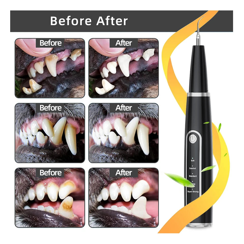 Plaque Remover for Teeth - Pet Ultrasonic Cleaner Custom Pet Battery-powered Ultrasonic Electric Toothbrush Teeth Cleaning Kit