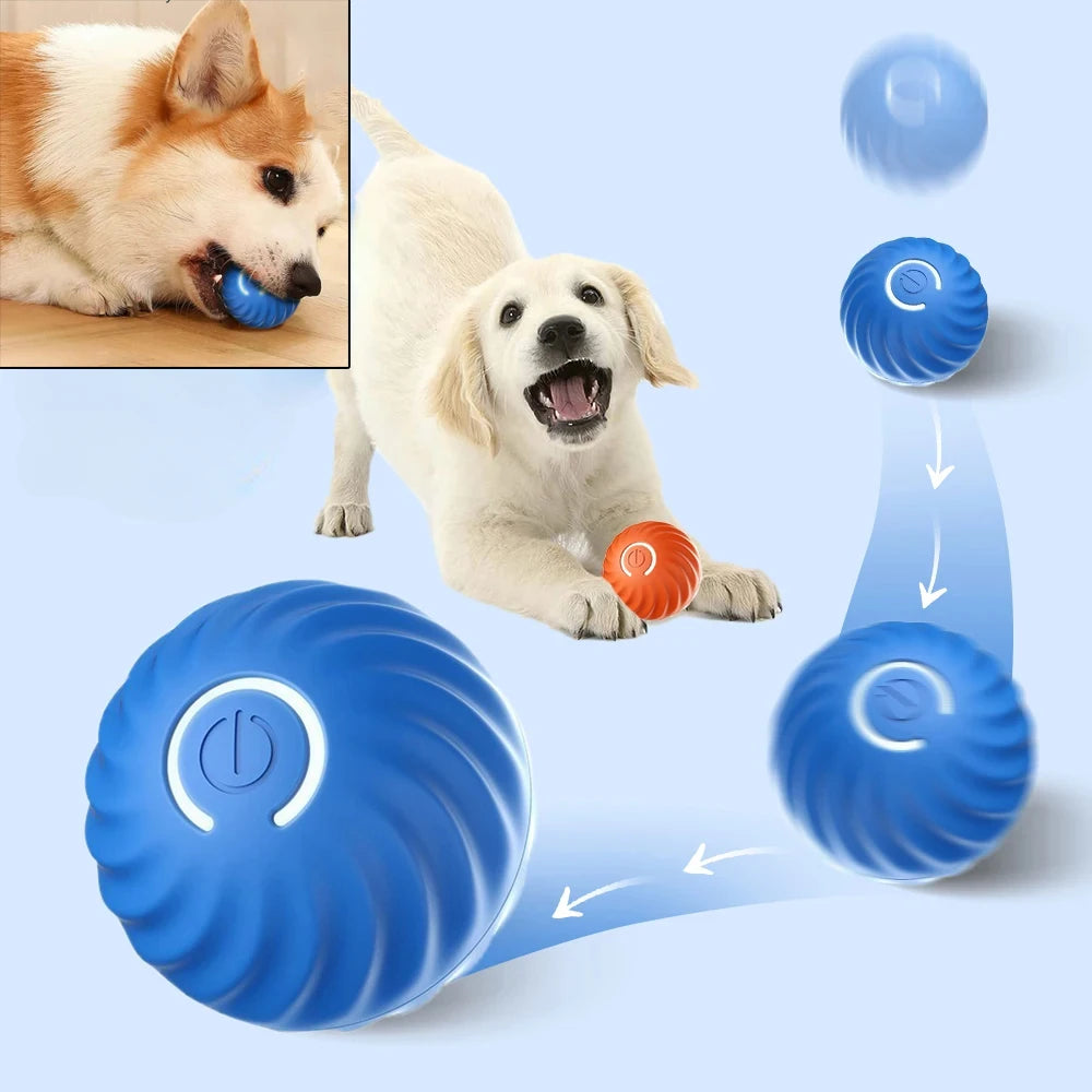 Self-Moving Interactive Dog Ball