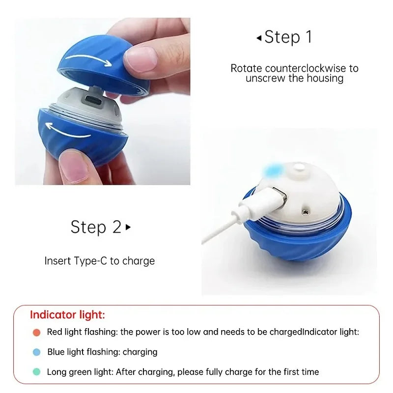 Self-Moving Interactive Dog Ball