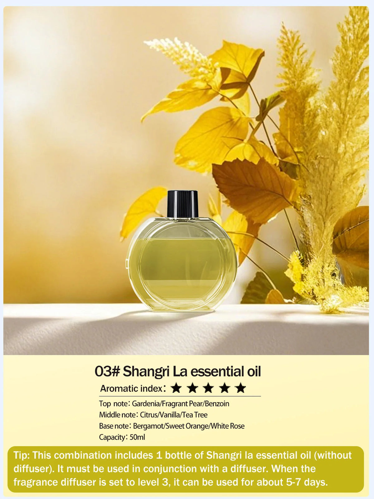 Cordless Automatic Scent Diffuser