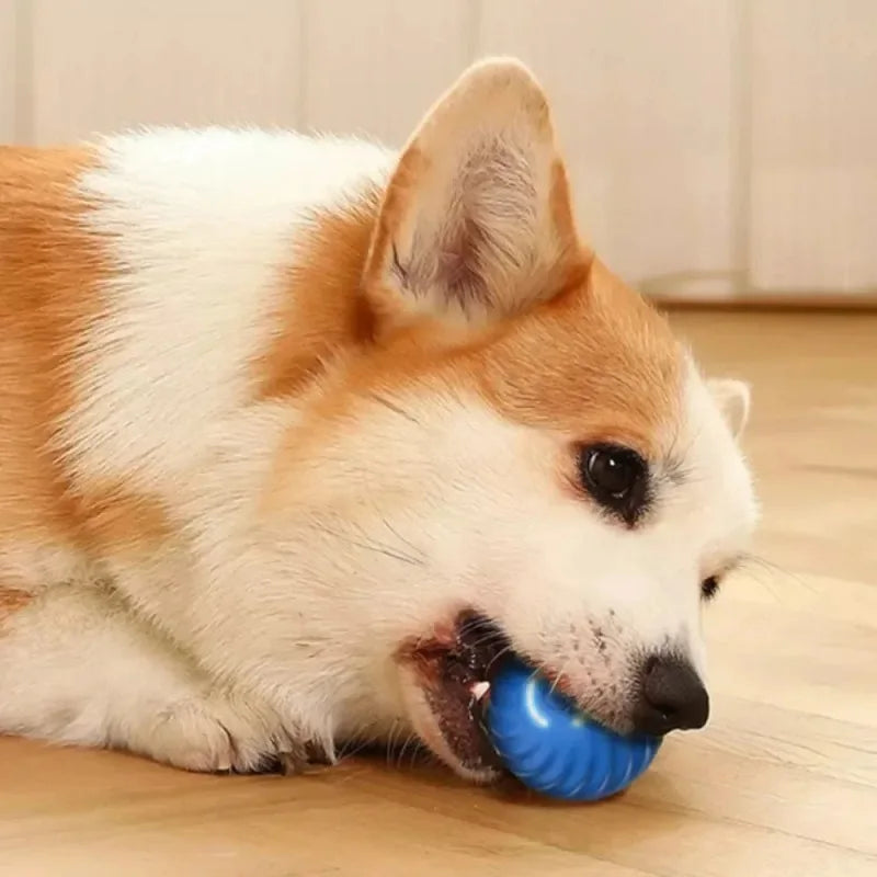 Self-Moving Interactive Dog Ball
