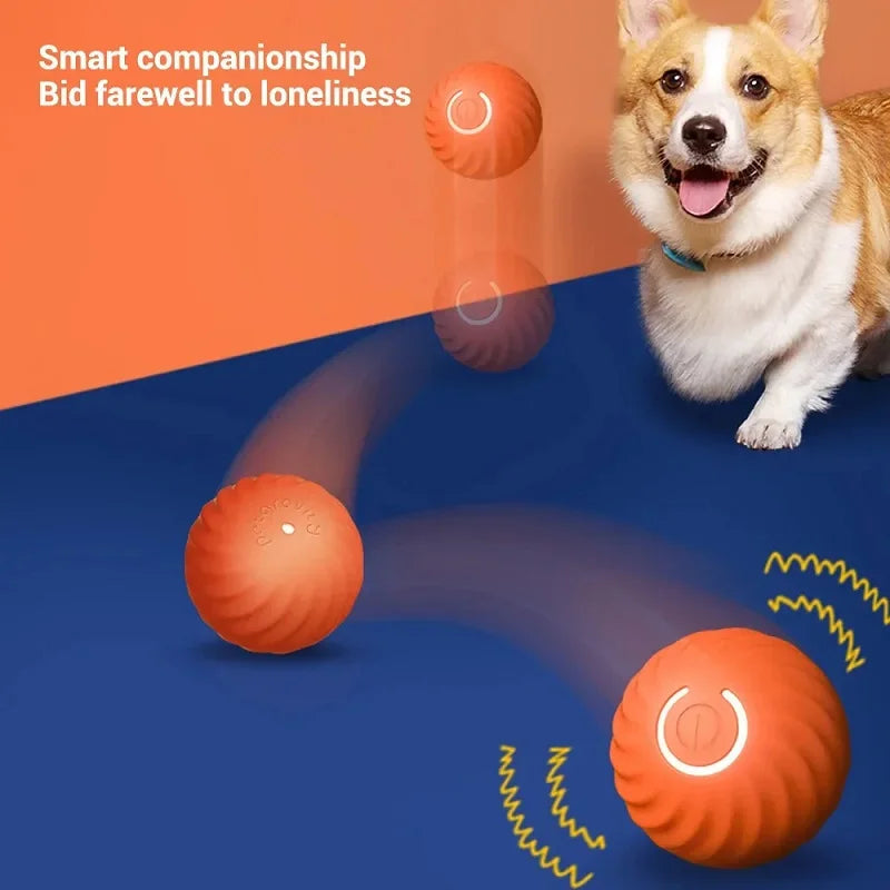 Self-Moving Interactive Dog Ball