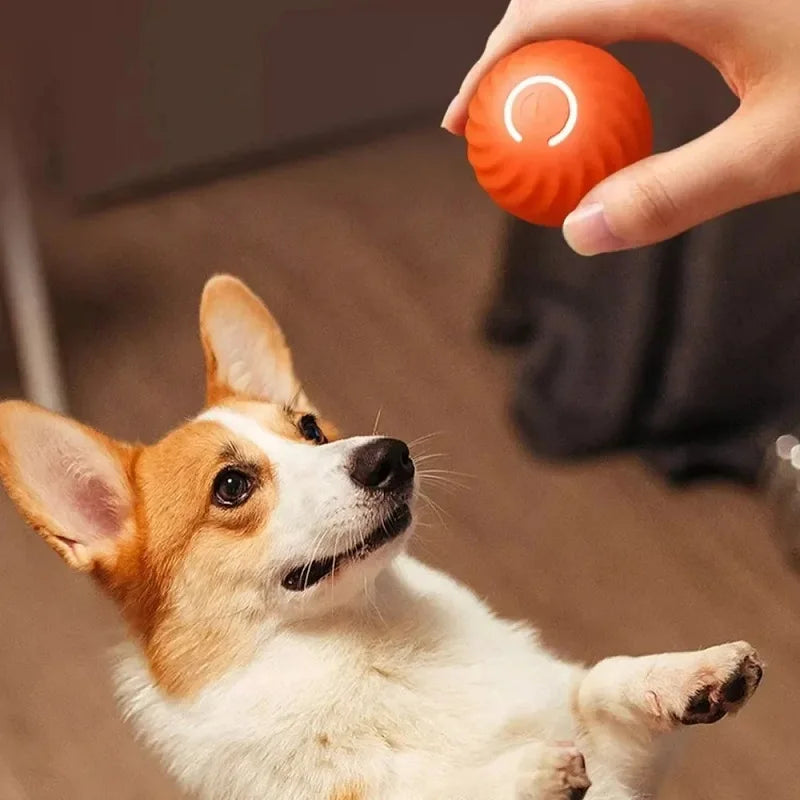 Self-Moving Interactive Dog Ball